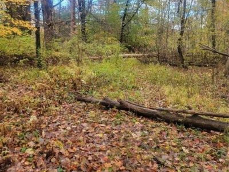 Schaen Drive, Andover, OH 44003 Photo 3