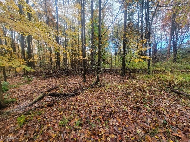 Schaen Drive, Andover, OH 44003 Photo 4