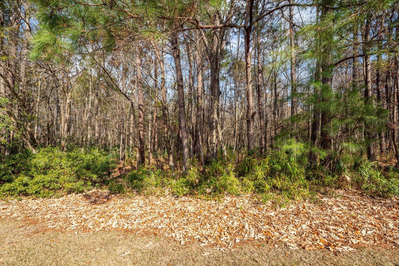 1520 Wellesley Circle Photo 31