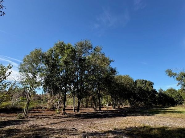 HAMMOCK LOOP, POLK CITY, FL 33868