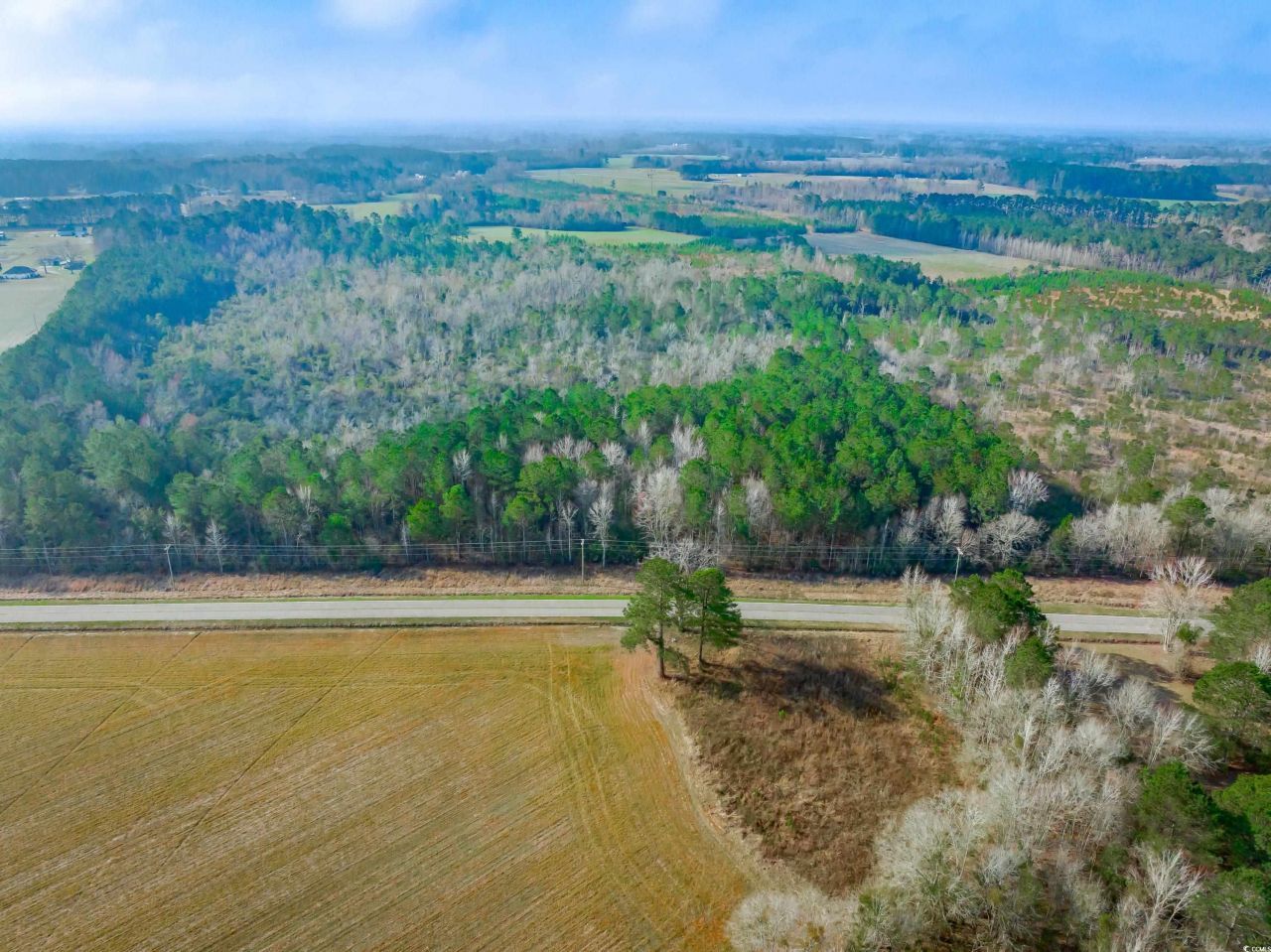 4705 Carolina Rd. Photo 10