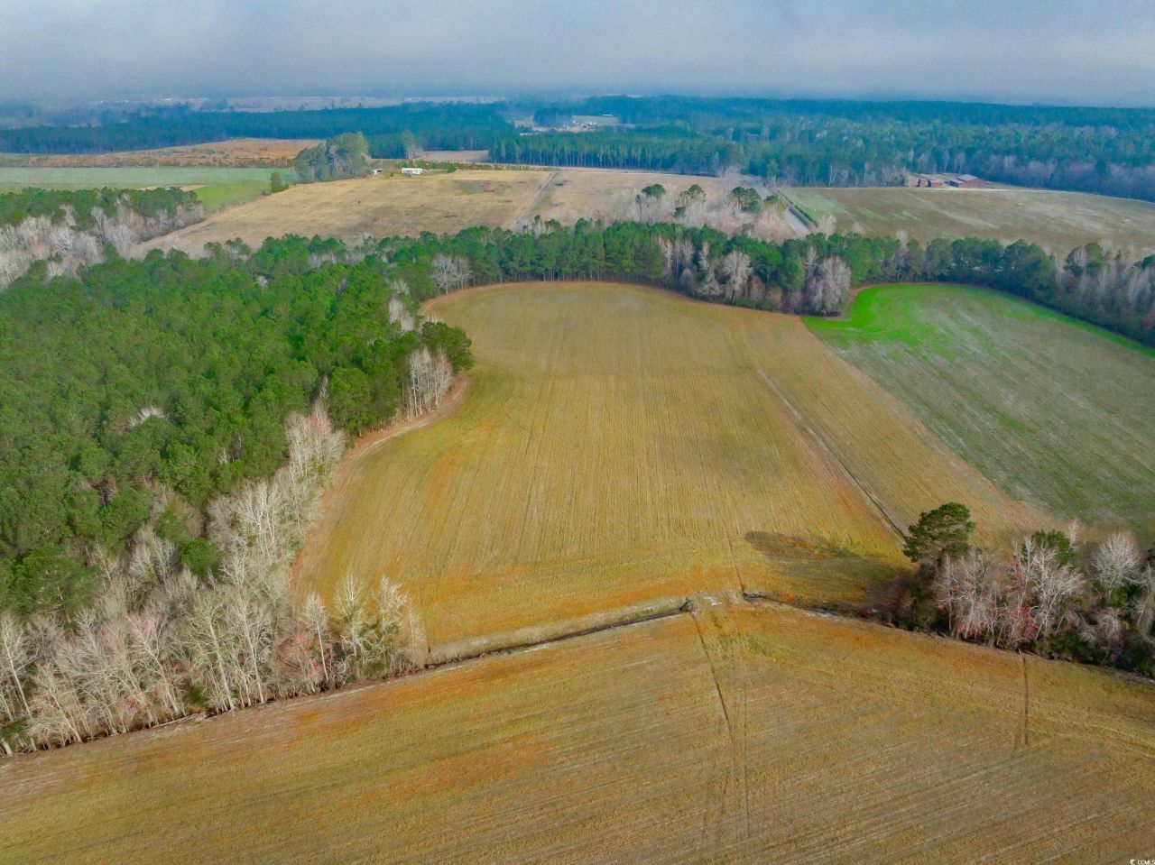 4705 Carolina Rd. Photo 3