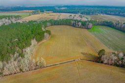 4705 Carolina Rd. photo 4