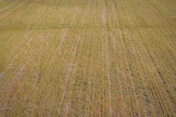 4705 Carolina Rd. photo 4