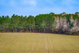 4705 Carolina Rd. photo 4