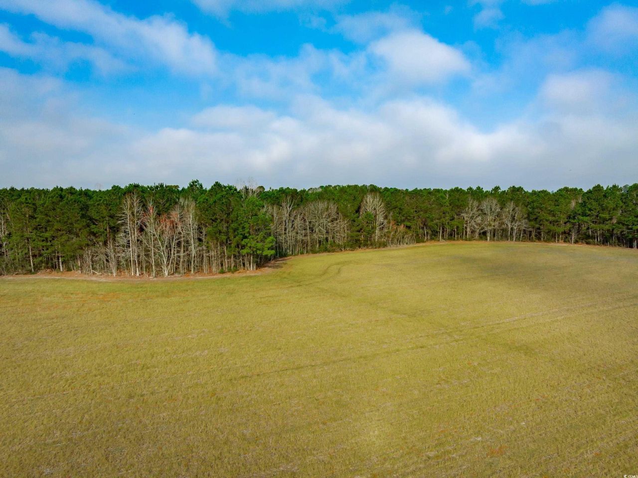 4705 Carolina Rd. Photo 6