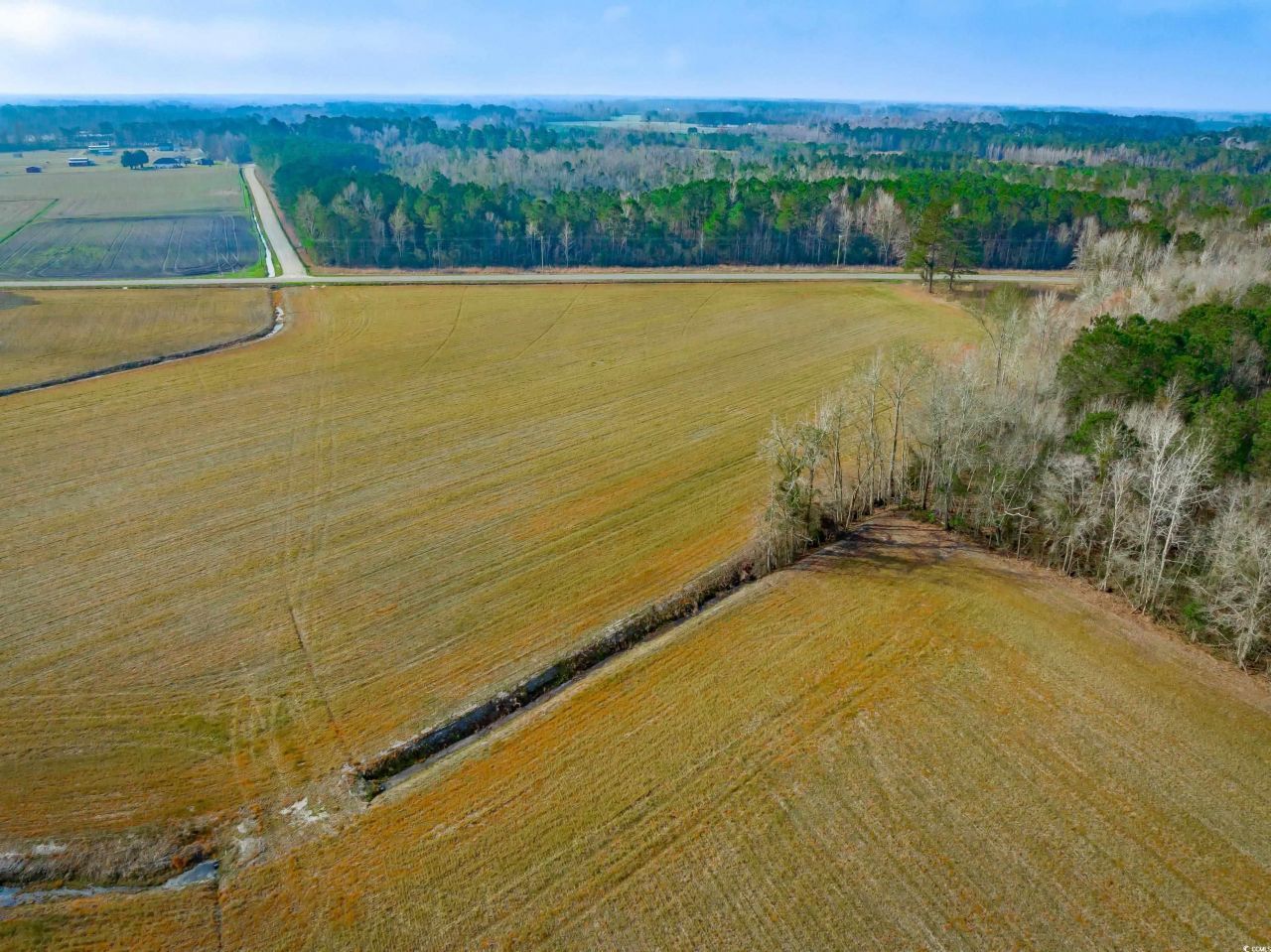 4705 Carolina Rd. Photo 8