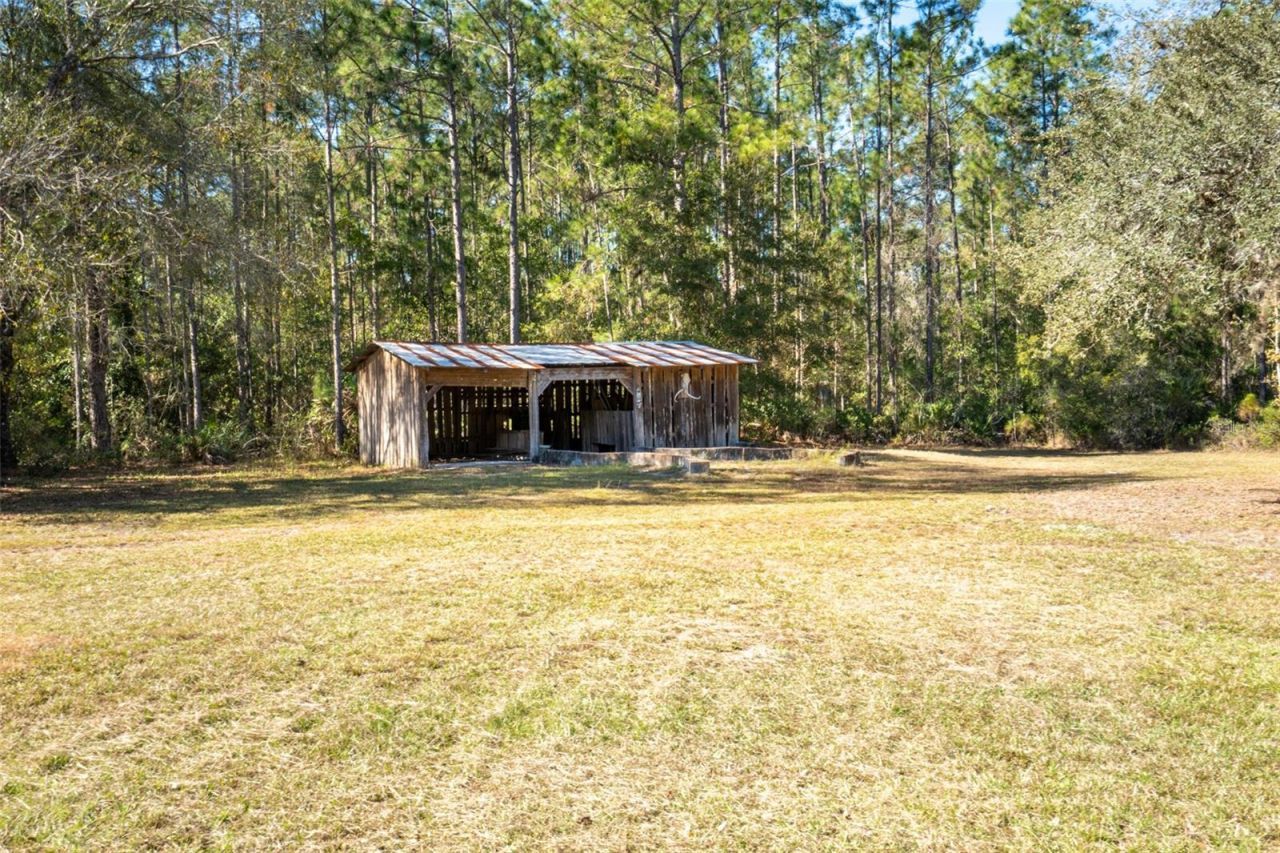 10411 County Road 474, Clermont, FL 34714 Photo