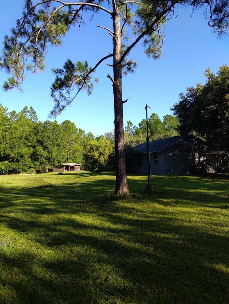 10411 County Road 474, Clermont, FL 34714 Photo
