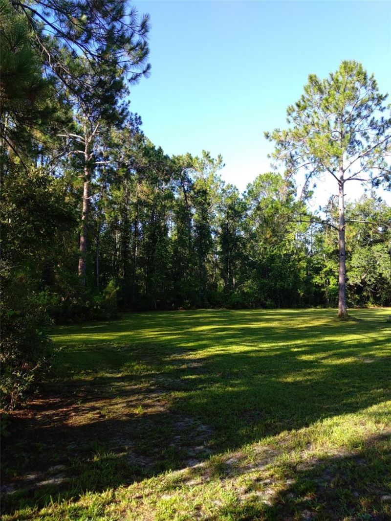 10411 County Road 474, Clermont, FL 34714 Photo