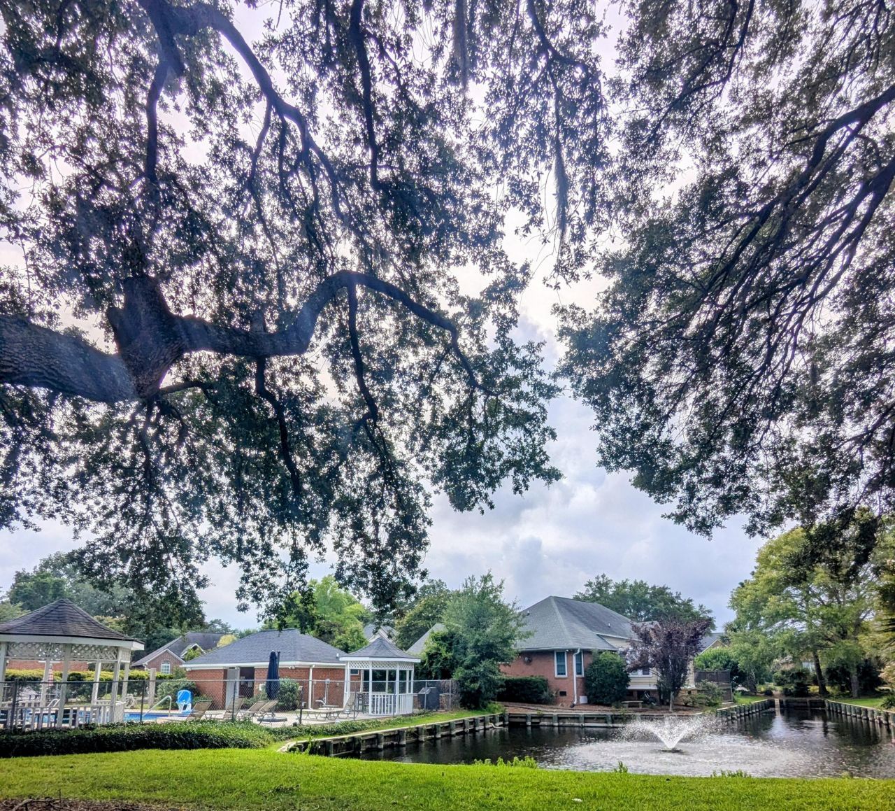 1409 Waterlily Drive Photo 23