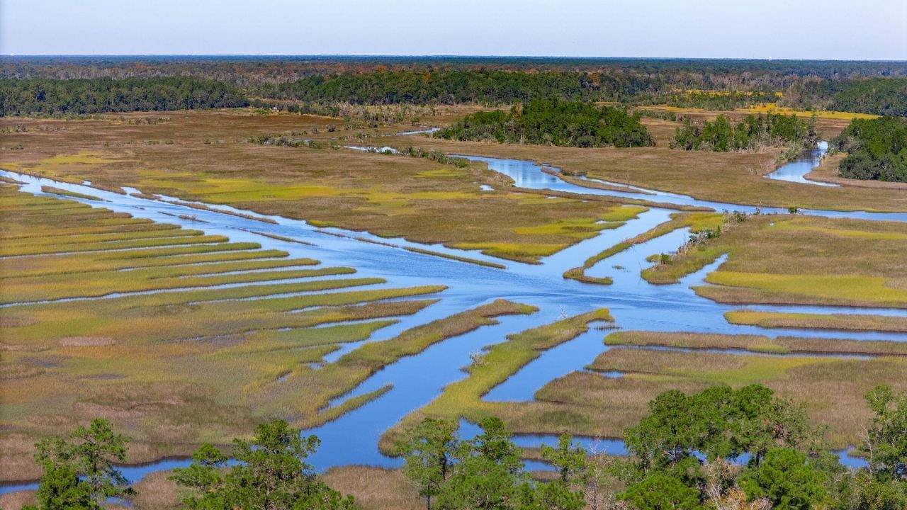 3945 Bulow Landing Road Photo 98