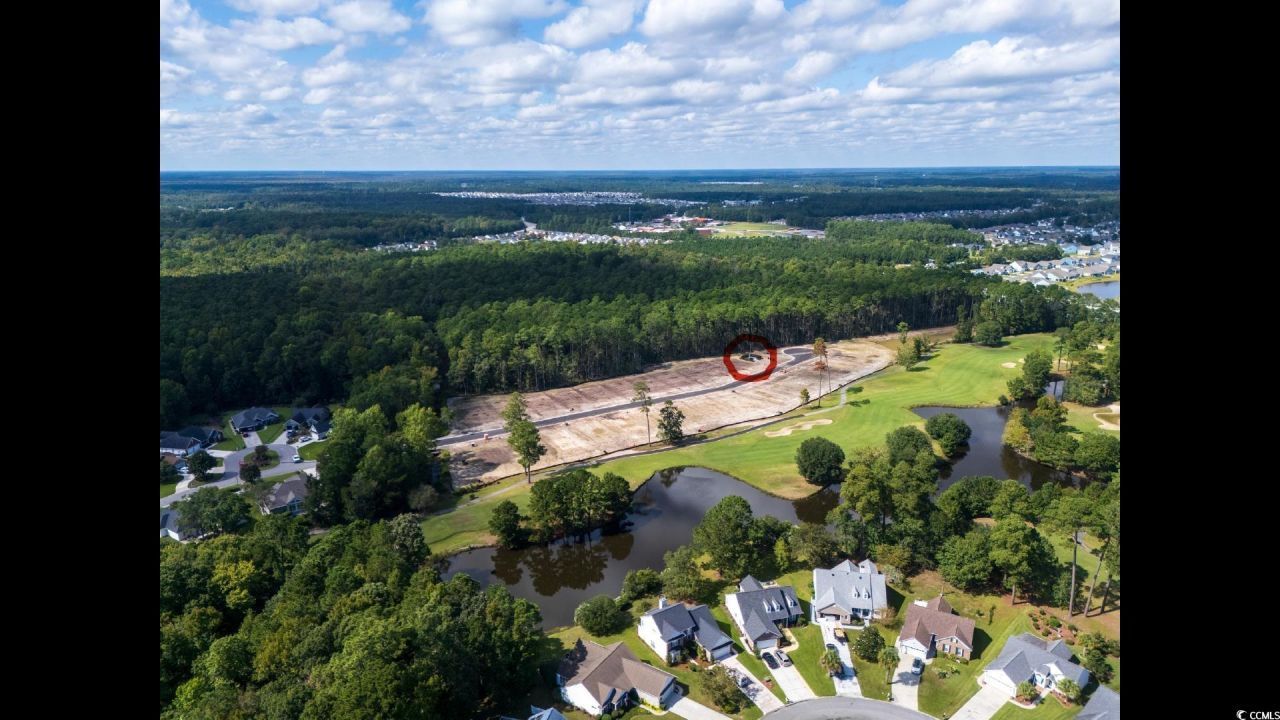 9687 Indigo Creek Blvd. Photo 2