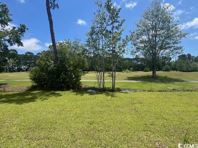 9691 Indigo Creek Blvd. Photo 7