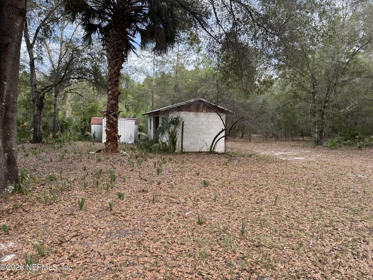 850 Cousintown Road, Interlachen, FL 32148 Photo