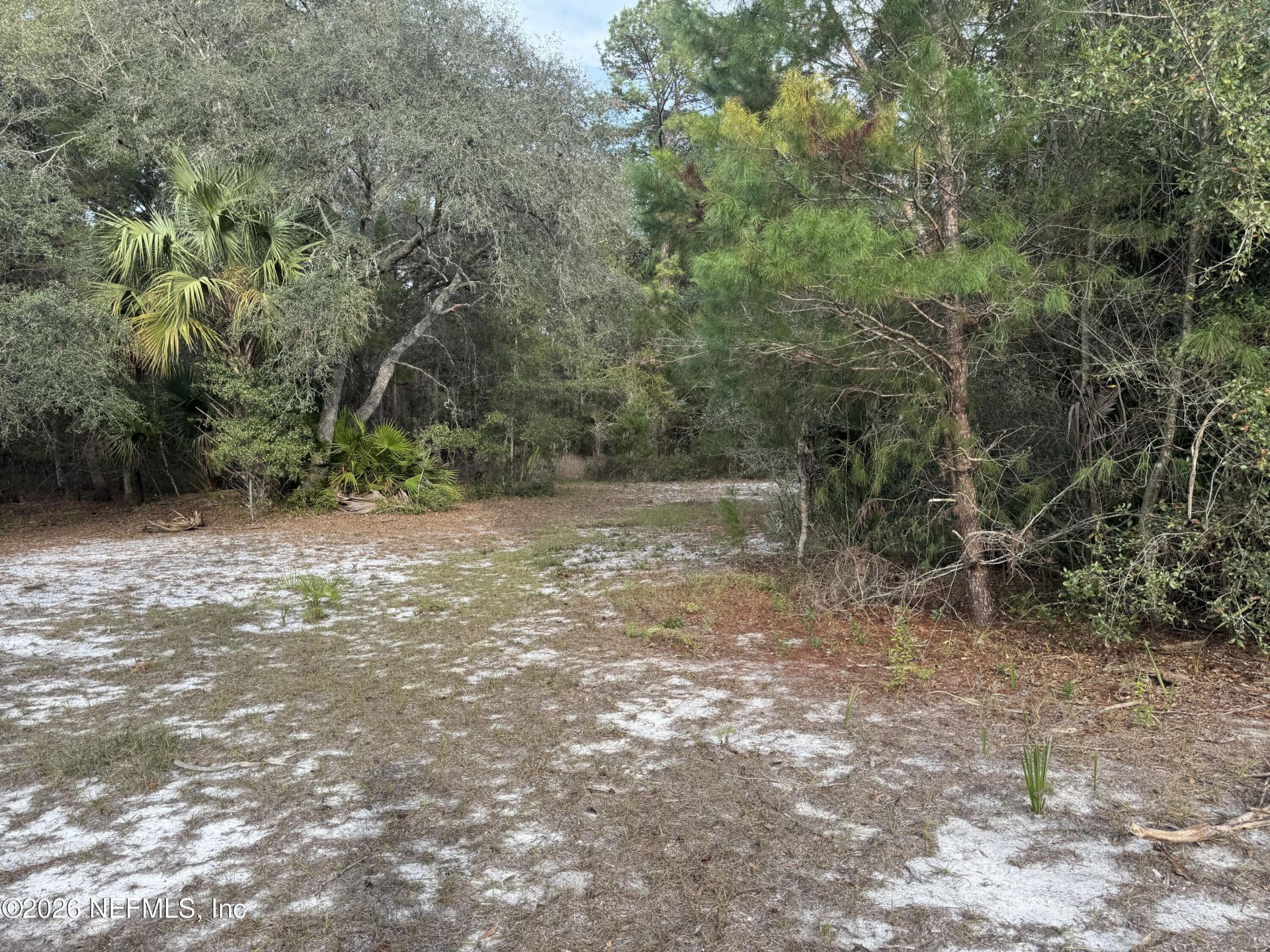850 Cousintown Road, Interlachen, FL 32148 Photo