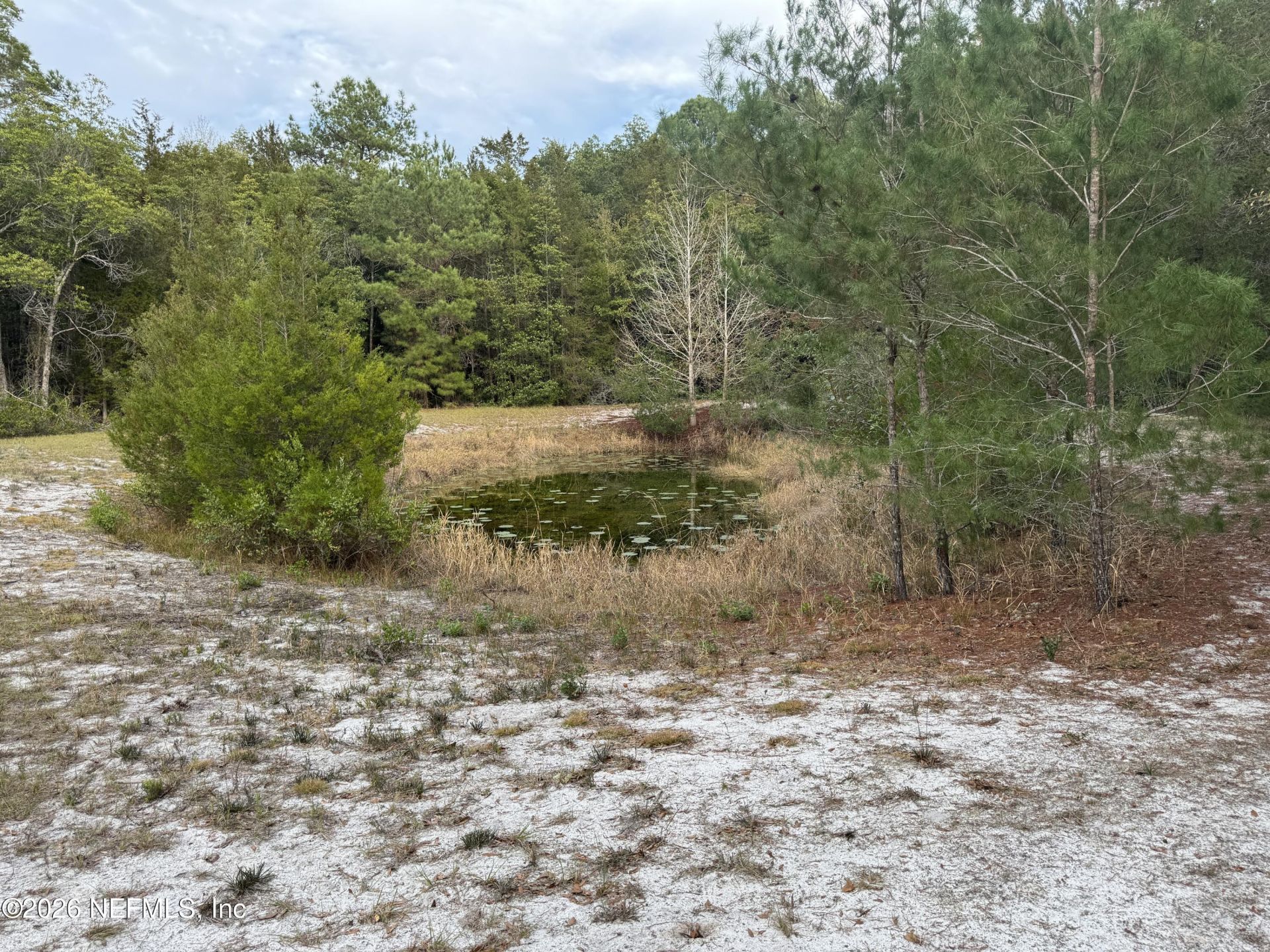 850 Cousintown Road, Interlachen, FL 32148 Photo