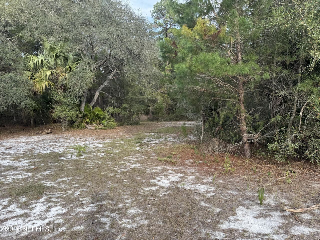 850 Cousintown Road, Interlachen, FL 32148 Photo