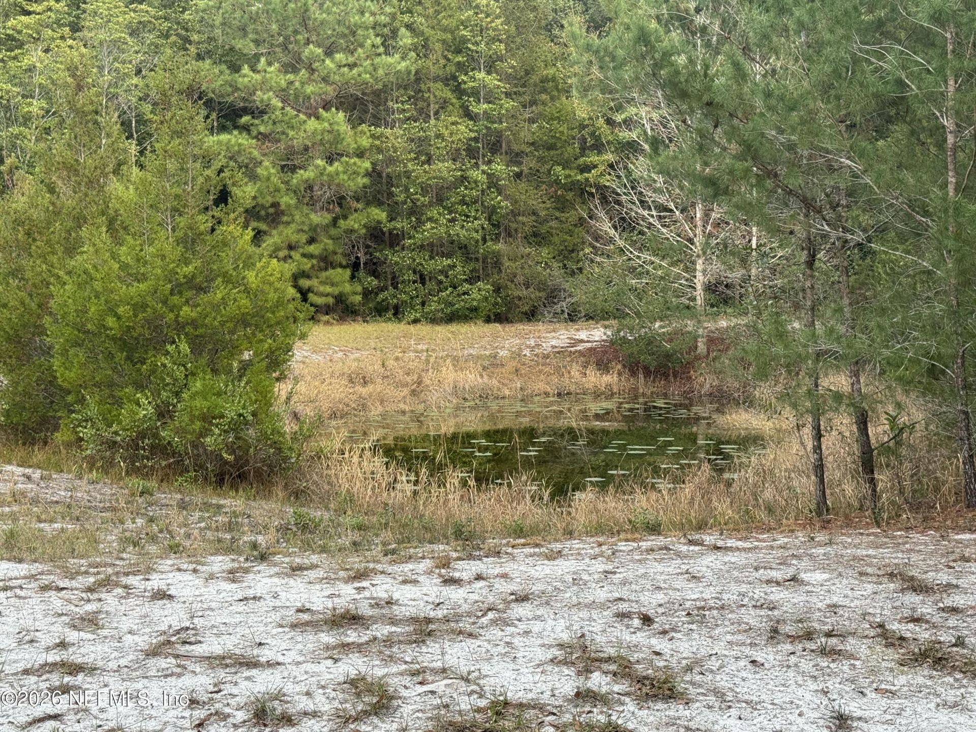 850 Cousintown Road, Interlachen, FL 32148 Photo