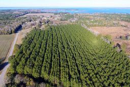 0 Rocks Pond (lot A) Road photo 4