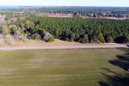 0 Rocks Pond (lot A) Road photo 4