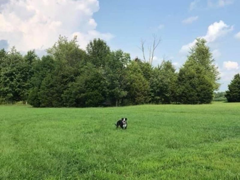 424 Mt Zion Road, Seaman, OH 45679 Photo 53