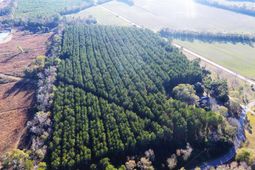 0 Broughton (lot B) Lane photo 4