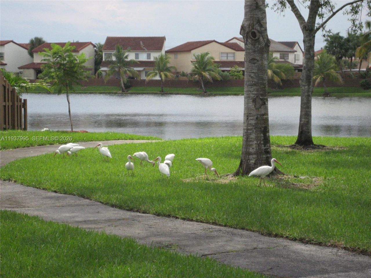 13224 SW 10 Te , Miami, FL 33184 Photo