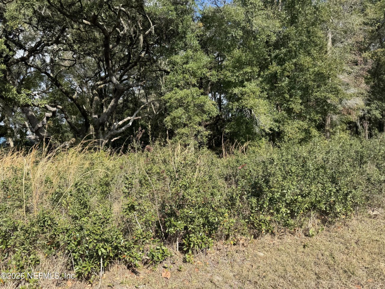 1042 State Road 20, Interlachen, FL 32148 Photo