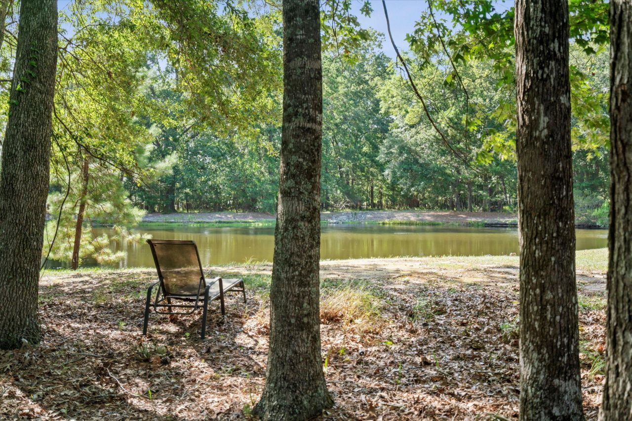 2217 Beckenham Drive Photo 64