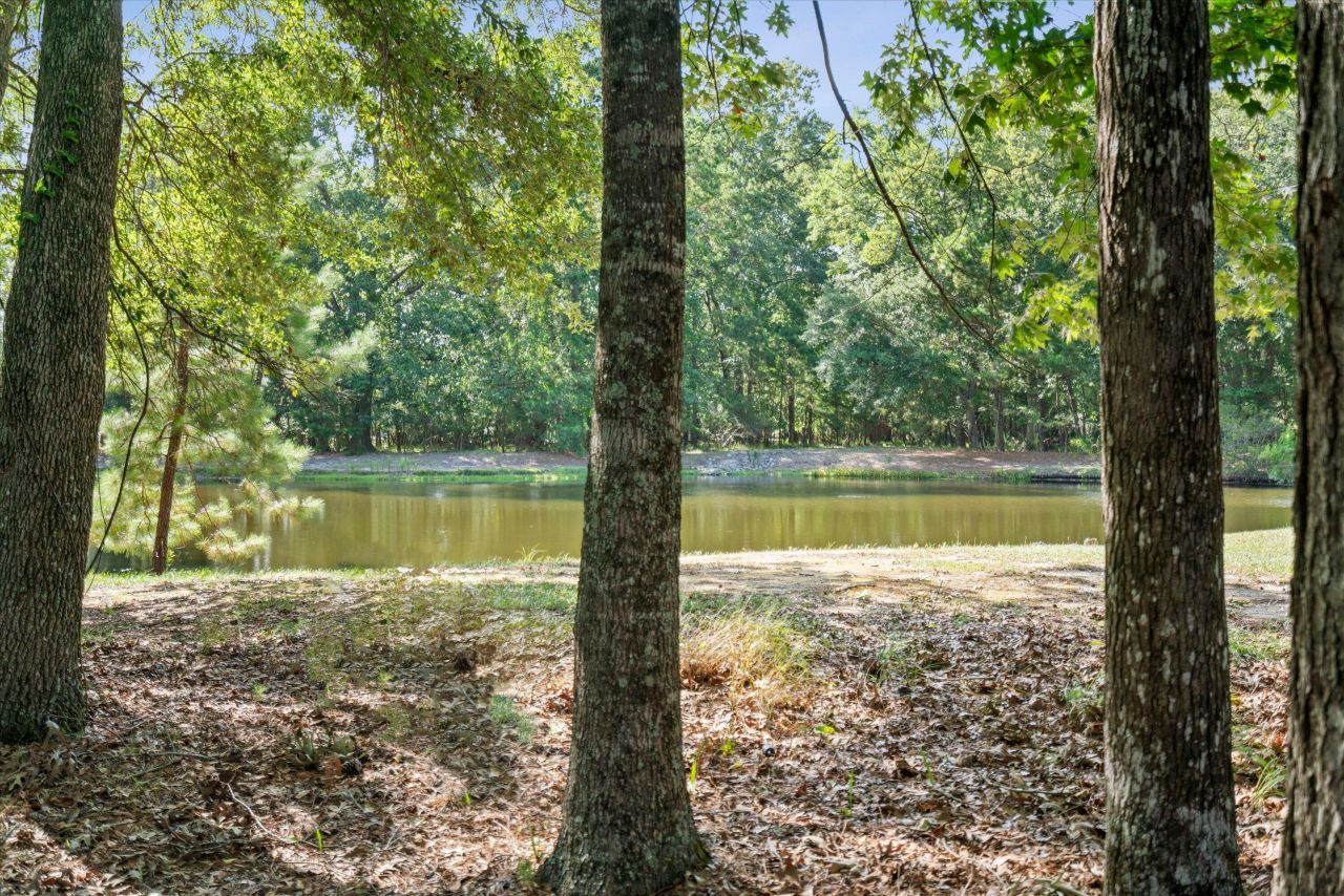 2217 Beckenham Drive Photo 65