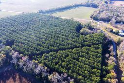 000 Broughton (lot E) Lane photo 4