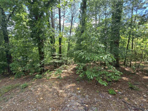 TBD DOUBLOON Circle, Hot Springs, AR 71913