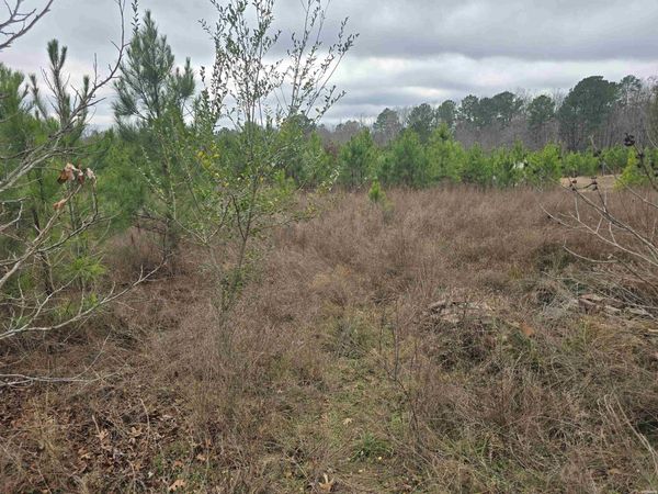 TBD WILSON LAKE Lane, Hot Springs, AR 71901