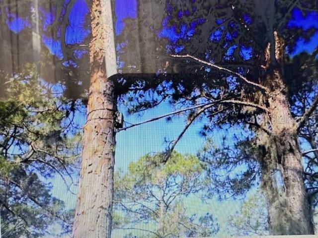 0 S Toledo Blade Boulevard N, North Port, FL 34288 Photo