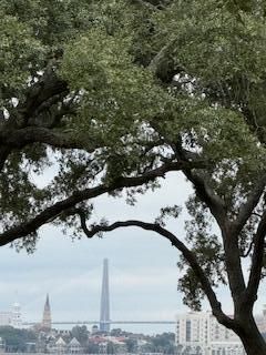 1083 Fort Sumter Dr. Photo 23