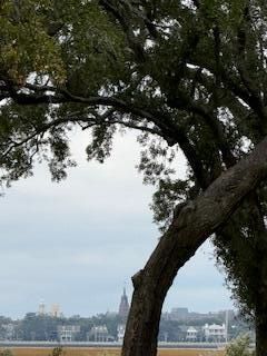 1083 Fort Sumter Dr. Photo 24