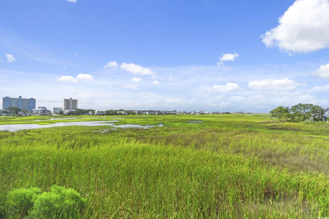 310 Marsh Pl. Photo 19