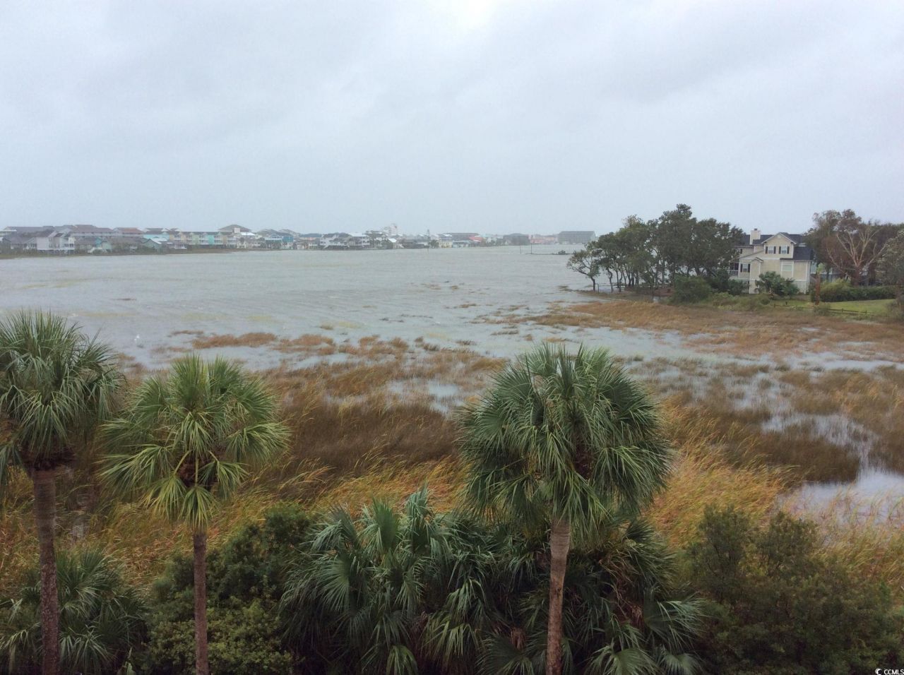 310 Marsh Pl. Photo 28