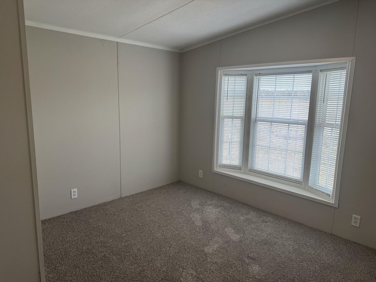 370 Shady Grove Road Photo 20