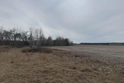 370 Shady Grove Road photo 4