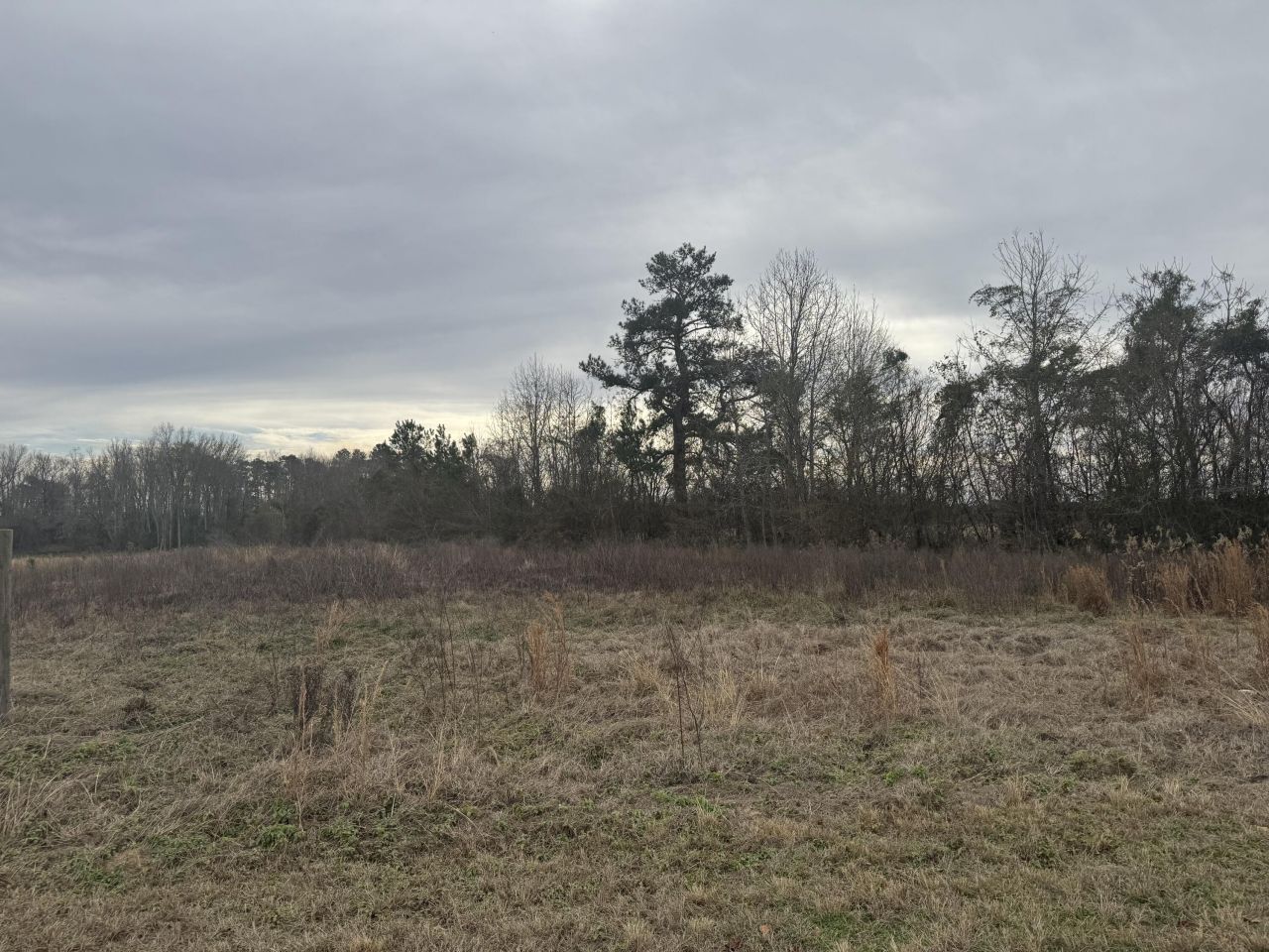 370 Shady Grove Road Photo 6