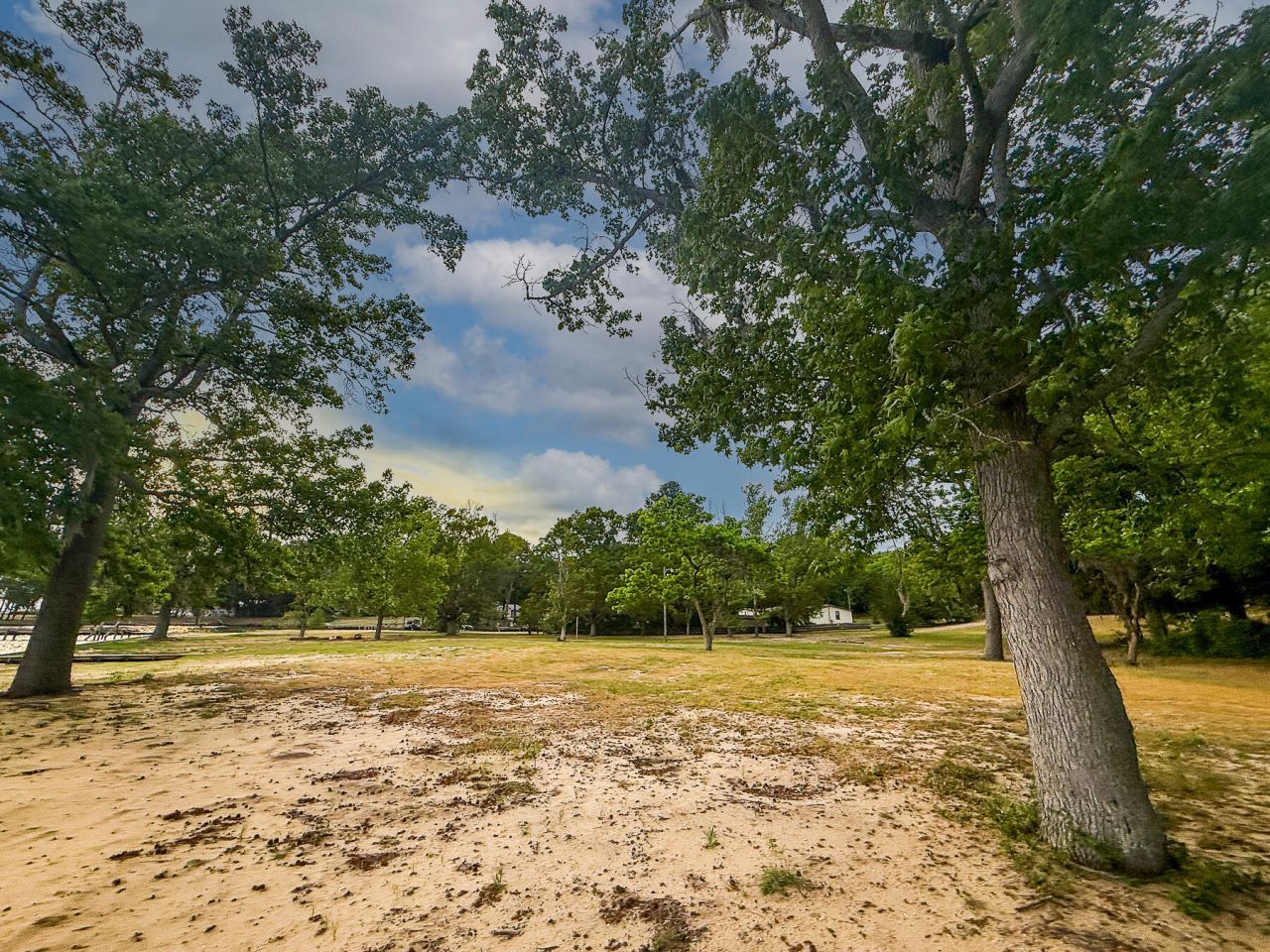 3226 Francis Marion Boulevard Photo 10