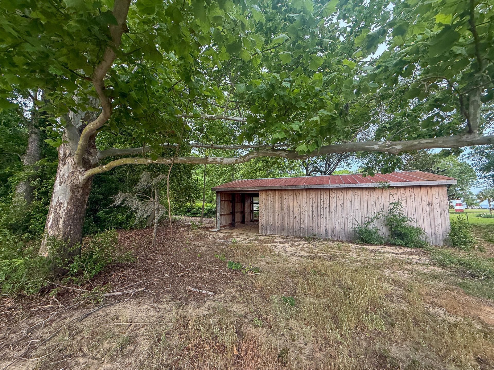 3226 Francis Marion Boulevard Photo 14