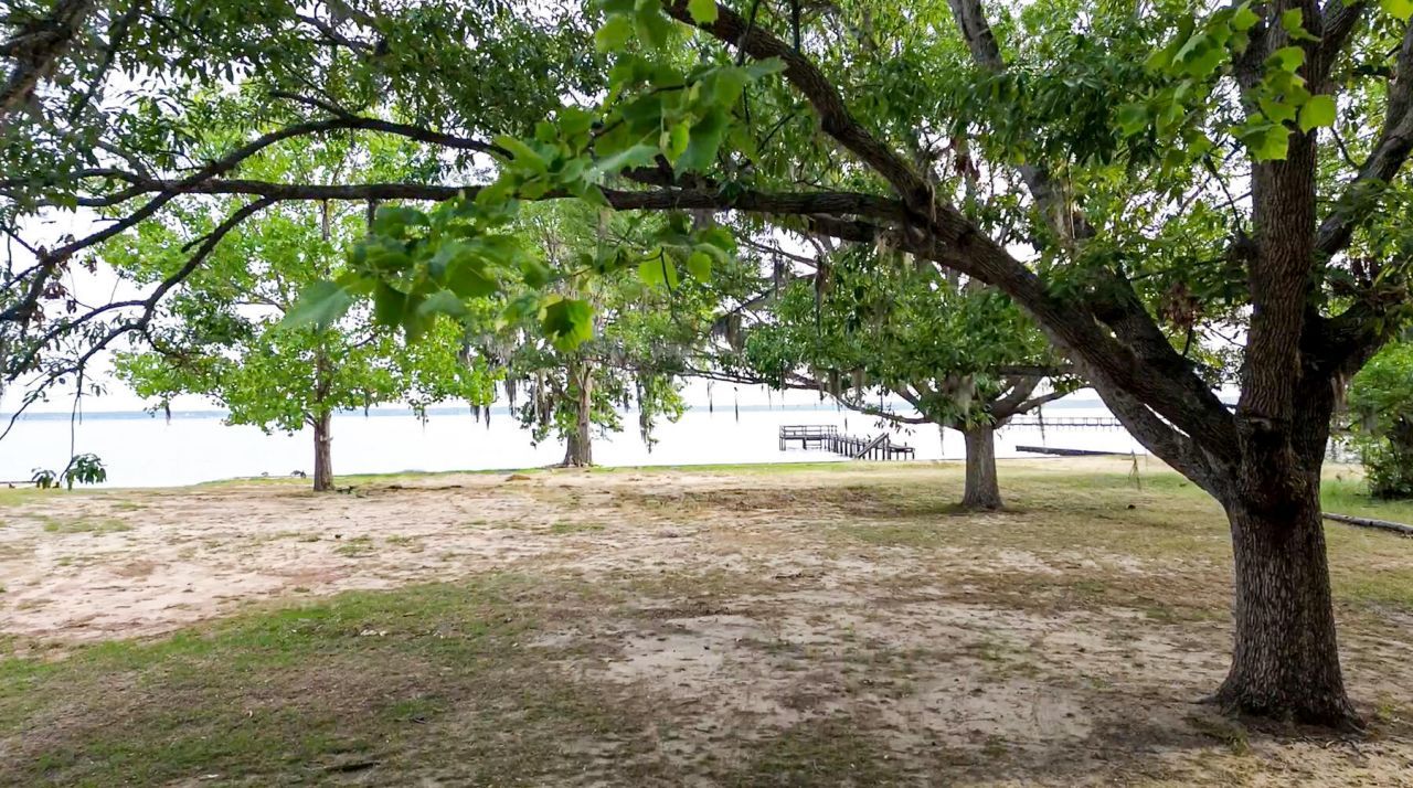 3226 Francis Marion Boulevard Photo 17