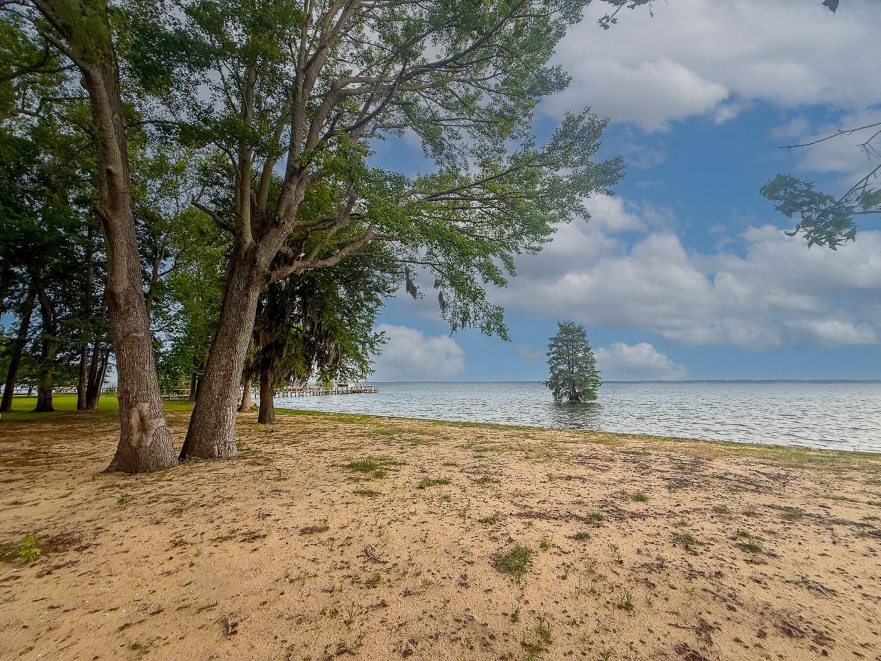 3226 Francis Marion Boulevard Photo 19