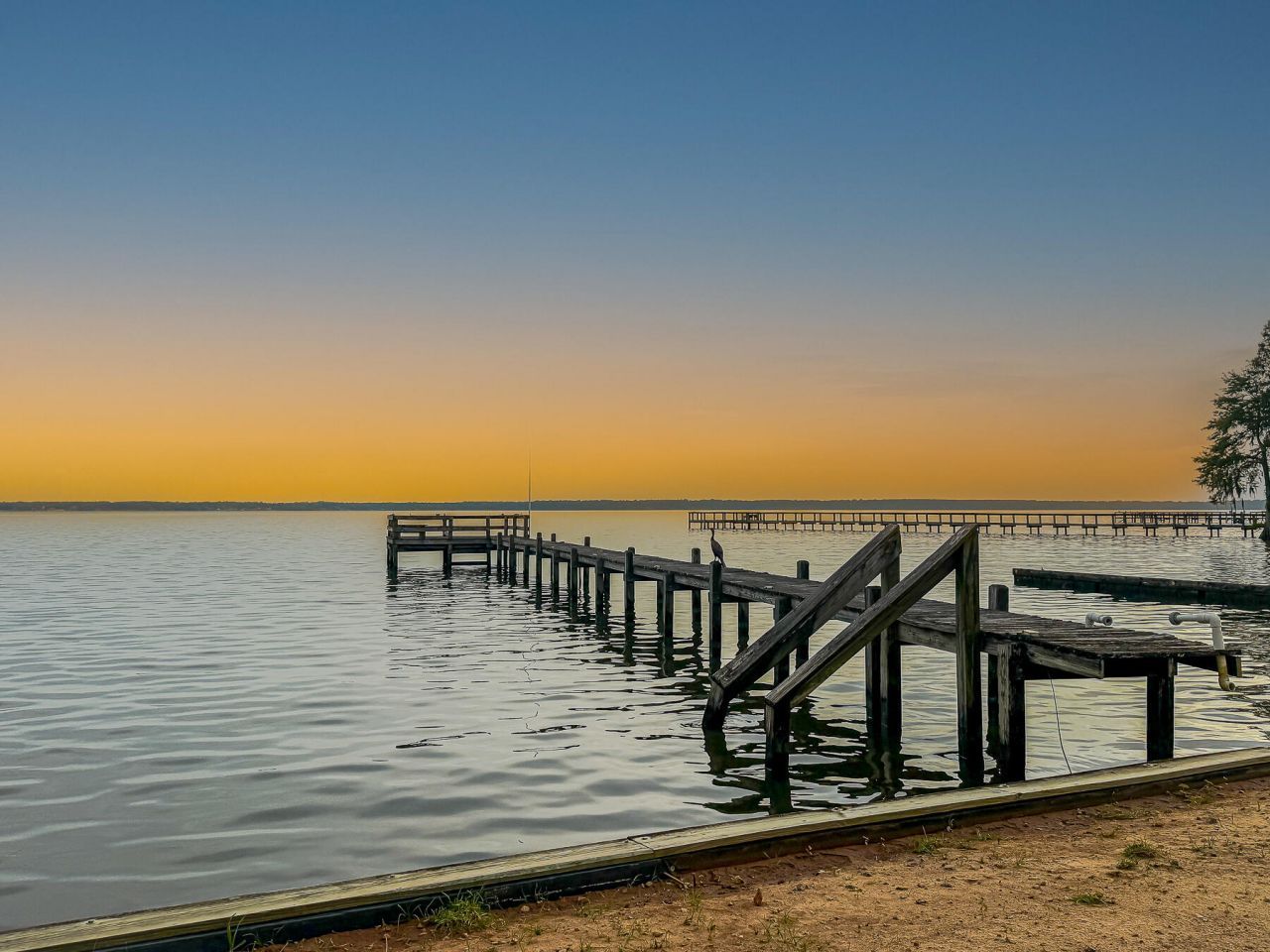 3226 Francis Marion Boulevard Photo 21