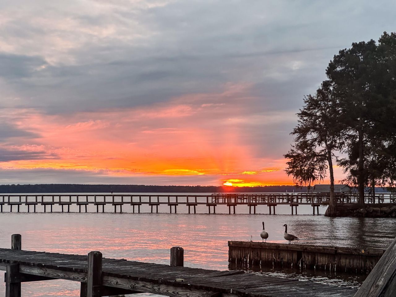 3226 Francis Marion Boulevard Photo 22