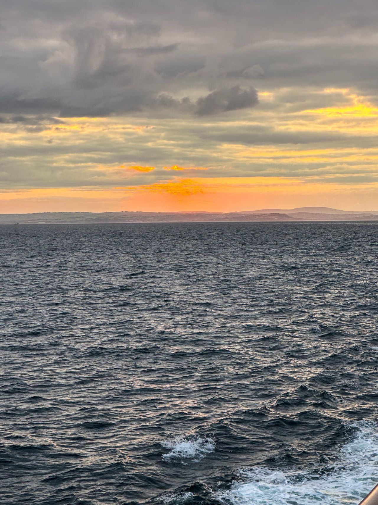 3226 Francis Marion Boulevard Photo 23