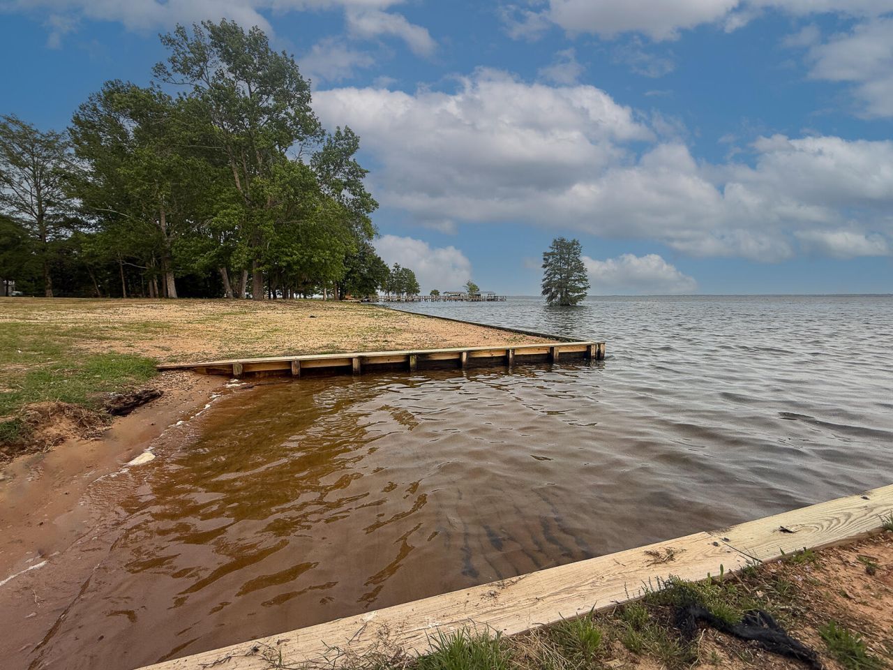 3226 Francis Marion Boulevard Photo 26